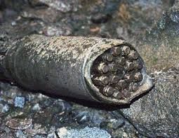 images 5 % Переработка облучённого реакторного графита