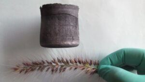 28 e1666983936760 % Аэрографит – самый легкий твердый материал